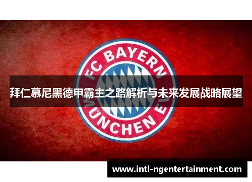 拜仁慕尼黑德甲霸主之路解析与未来发展战略展望