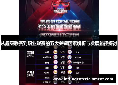 从超级联赛到职业联赛的五大关键因素解析与发展路径探讨