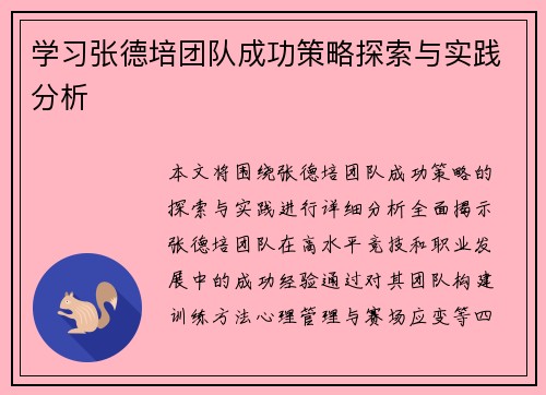 学习张德培团队成功策略探索与实践分析