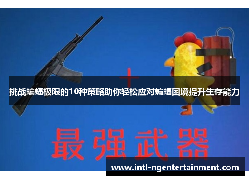 挑战蝙蝠极限的10种策略助你轻松应对蝙蝠困境提升生存能力