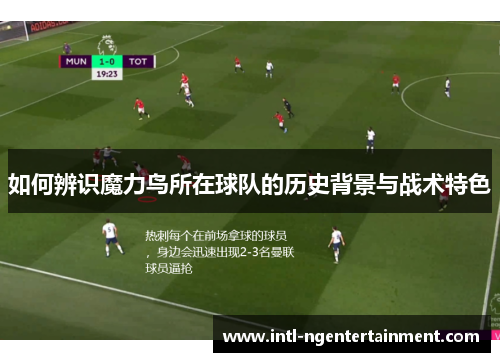如何辨识魔力鸟所在球队的历史背景与战术特色