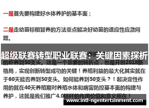 超级联赛转型职业联赛：关键因素探析