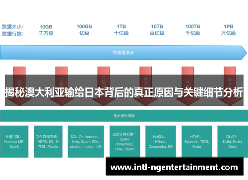 揭秘澳大利亚输给日本背后的真正原因与关键细节分析