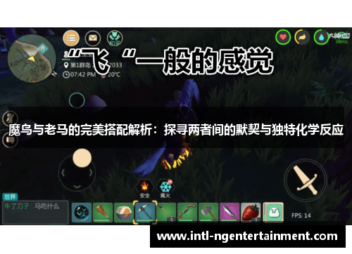 魔鸟与老马的完美搭配解析：探寻两者间的默契与独特化学反应