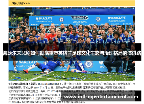 海瑟尔关悲剧如何彻底重塑英格兰足球文化生态与治理格局的演进路 海瑟尔关悲剧如何彻底重塑英格兰足球文化生态与治理格局的演进路