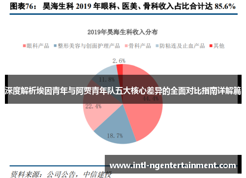 深度解析埃因青年与阿贾青年队五大核心差异的全面对比指南详解篇 深度解析埃因青年与阿贾青年队五大核心差异的全面对比指南详解篇