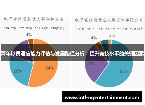 青年球员适应能力评估与发展路径分析：提升竞技水平的关键因素