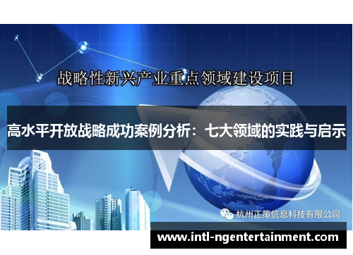 高水平开放战略成功案例分析：七大领域的实践与启示